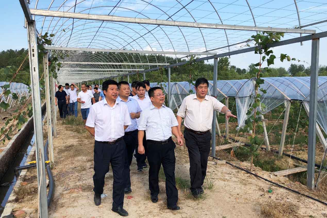 南宫·NG28(中国)相信品牌力量有限公司